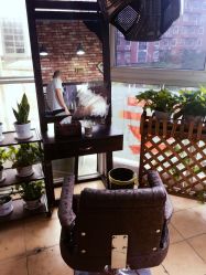 点击看大图 -HD HAIR STYLE