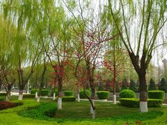 -西清公园