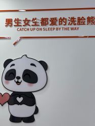 -洗脸熊·洗脸吧
