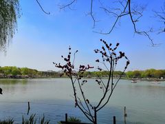 -昆山城市生态森林公园