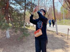 -长白岛森林公园