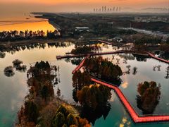 -贡湖湾湿地公园