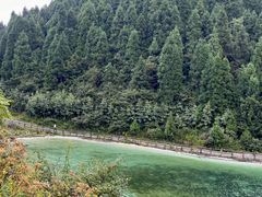 -武陵山森林公园