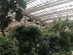 -颐和尚景酒店·宴会厅(园林生态酒店)