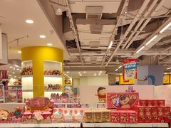 -TOYSRUS玩具反斗城(合肥华润万象城店)