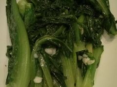 油麦菜-绿华园休闲山庄