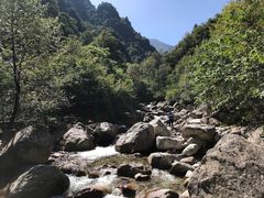 -青峰峡国家森林公园