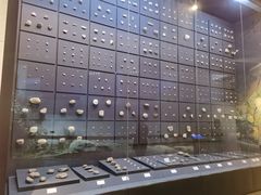 -北京周口店北京人遗址博物馆