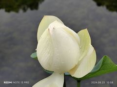 -云溪植物园