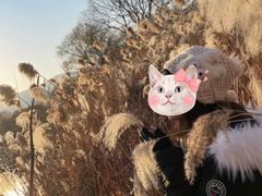 -长兴太湖图影湿地文化园
