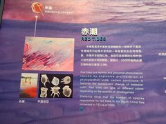 -中国（海南）南海博物馆
