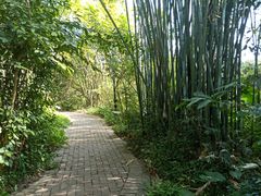 -大屏嶂森林公园