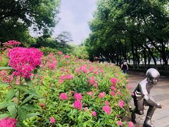 -玉山公园