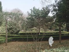 -黄村公园