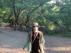 -紫金山天文台