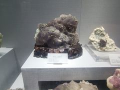 -湖南省地质博物馆