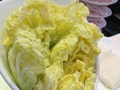 娃娃菜-京门活鱼馆·鱼火锅(百子湾（原红庙）店)