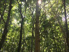 -白草畔自然风景区