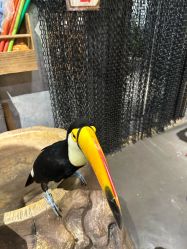 -Zoolung Zoolung动物主题公园(海信广场店)