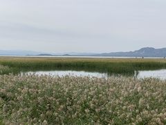 -野鸭湖国家湿地公园