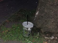 -林香柠·柠檬茶