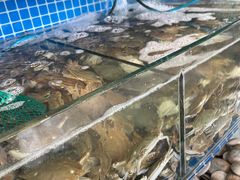 水产区-蟹谢蒸鲜自助餐厅