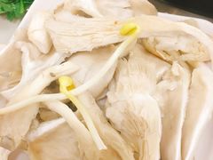 -朱氏胖子烂火锅(洪崖洞店)