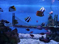 -太平洋海底世界