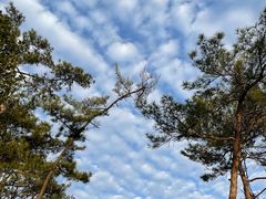 -东钱湖旅游度假区