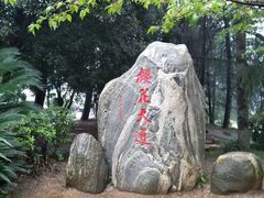 -武汉大学-樱园