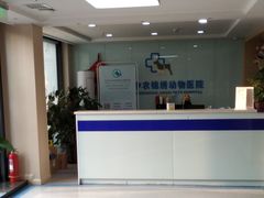 -喜多萌中农锦绣动物医院24H·猫科·牙科MRI·CT
