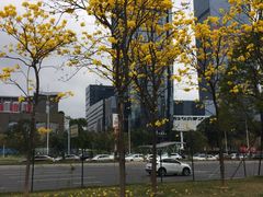 -开心花甲(星河城店)