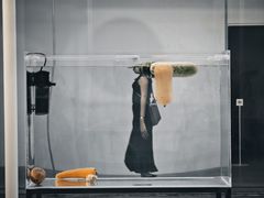 -金泽21世纪美术馆