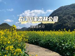 -广州市石门国家森林公园