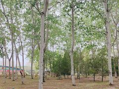 -森林公园(尖草坪区)