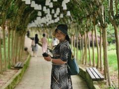 -武汉紫薇都市田园