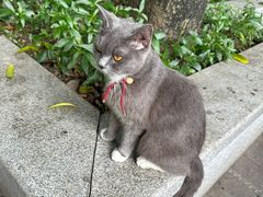 -荔湾湖公园