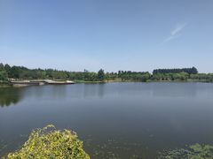 -东郊湿地公园