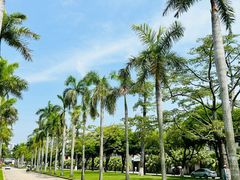 -厦门大学(思明校区)