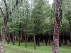 -蜀冈西峰生态公园