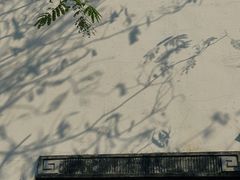 -檀园