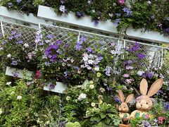 -深圳仙湖植物园