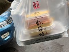 -桃源村(白下路店)