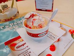 -哈根达斯(石家庄北国店)