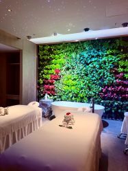 -VELEE·SPA高定疗愈会所