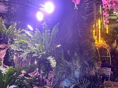 -正佳雨林生态植物园