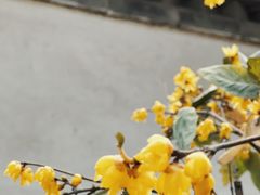 -万寿八仙宫