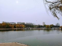 -二一九公园