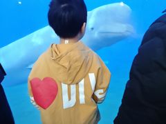 -泉城欧乐堡海洋极地世界