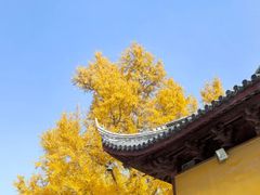 -上海青龙寺